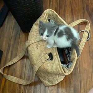 Meet your Posher, cdnfla